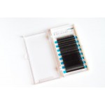 Chic MINK Lashes B0.25 Assorted Tray